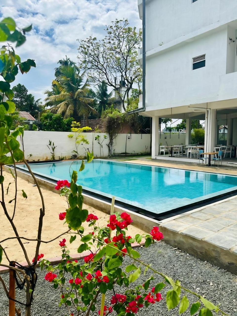 Hotel Mirissa Regent Ngoại thất bức ảnh